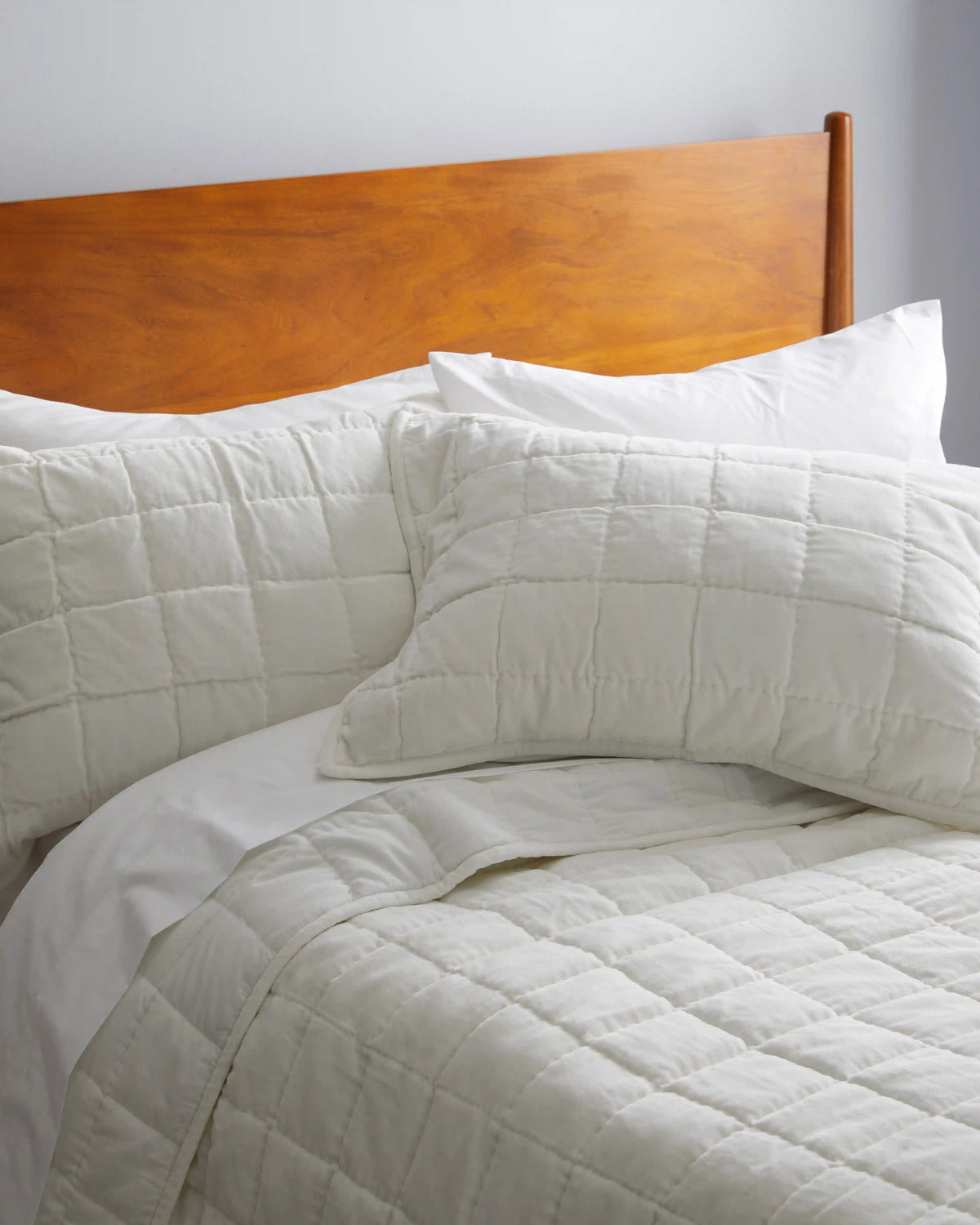 Cotton Velvet Box Quilted Sham Set